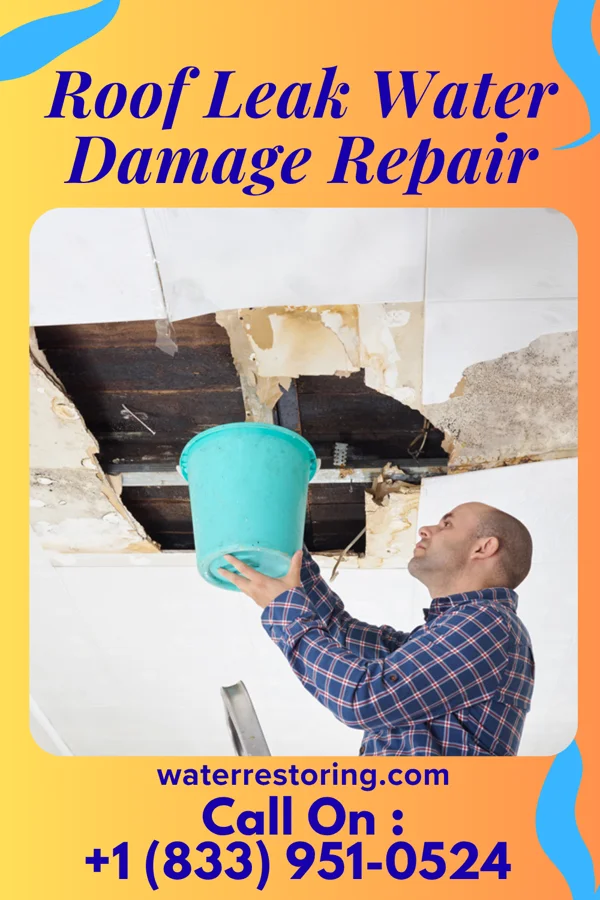 Roof Leak Water Damage Repair in Promise City, IA