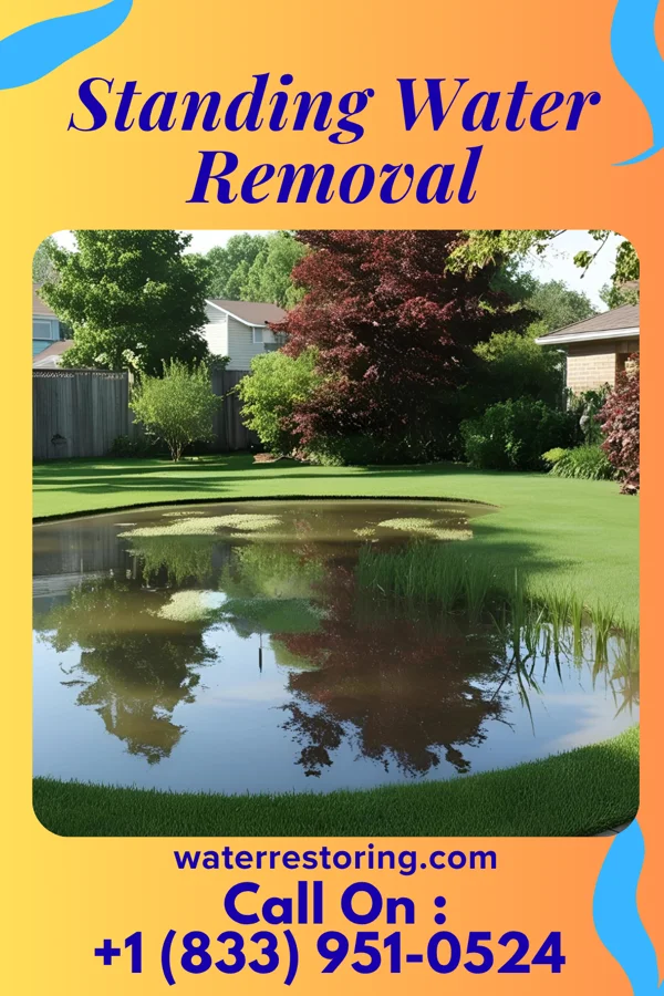 Standing Water Removal in Promise City, IA